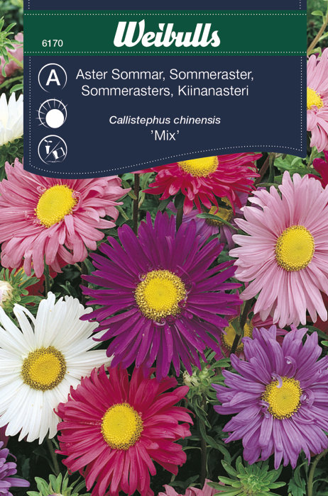 Sommerasters "Mix"